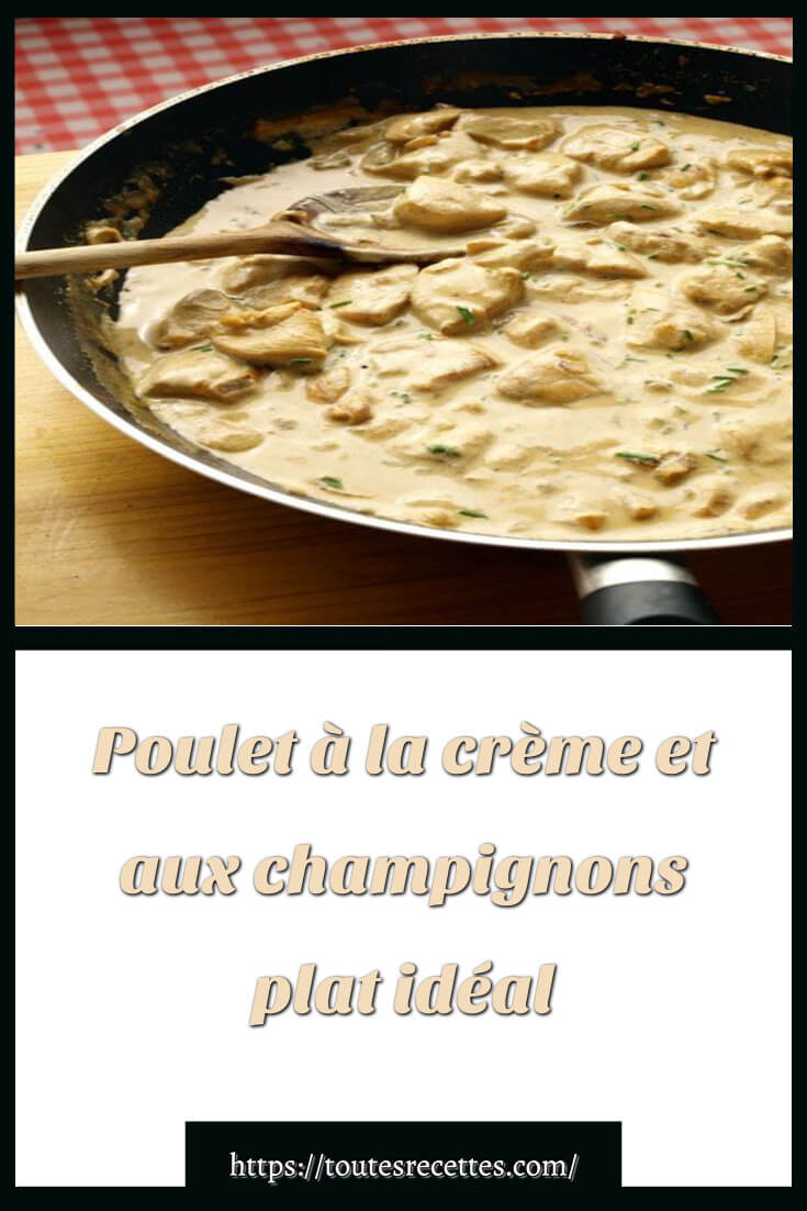 Poulet à la crème et aux champignons plat idéal – Toutes Recettes